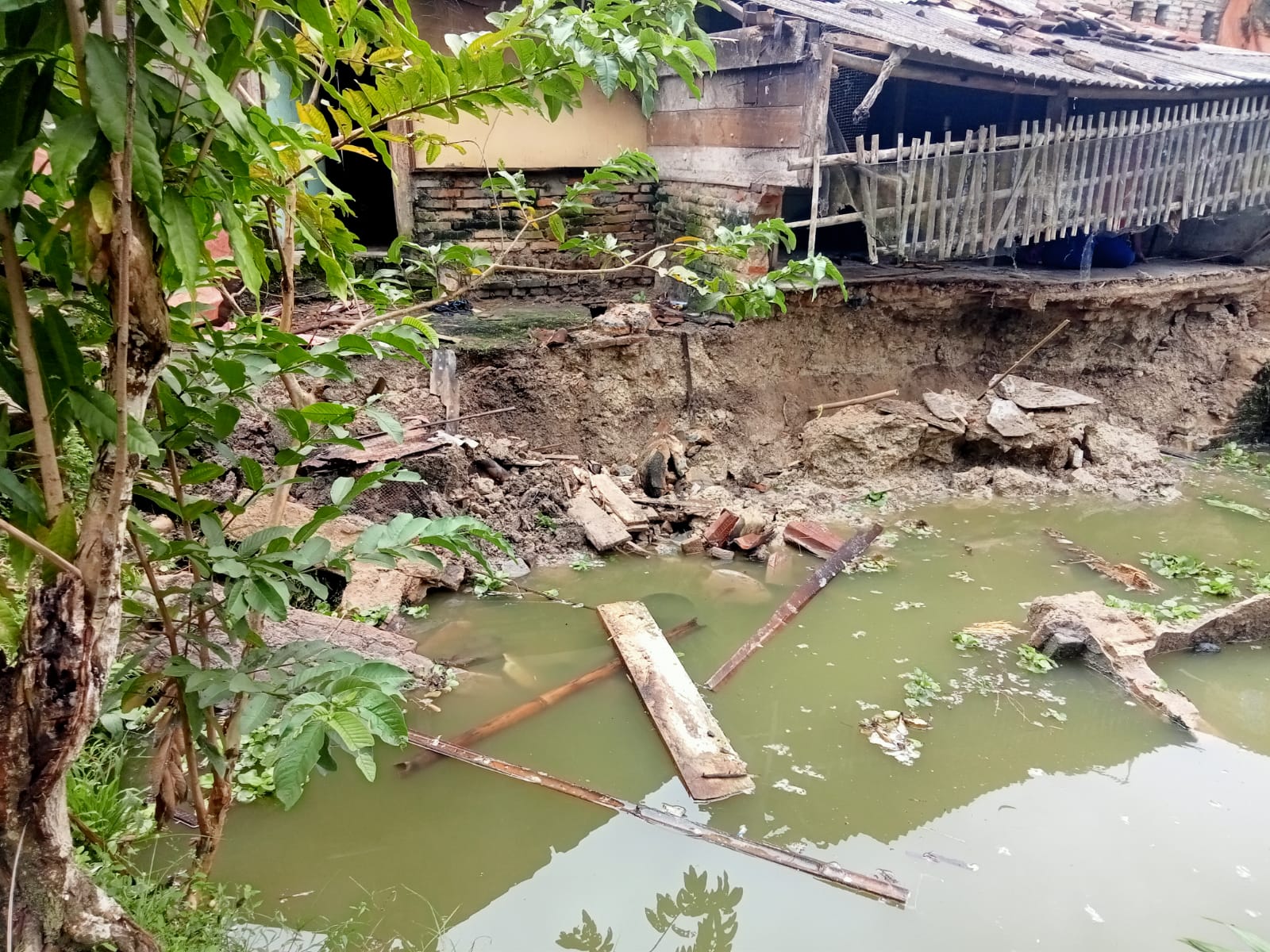 Tanah Longsor Terkikis Hujan